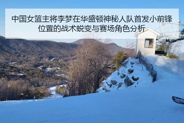 中国女篮主将李梦在华盛顿神秘人队首发小前锋位置的战术蜕变与赛场角色分析